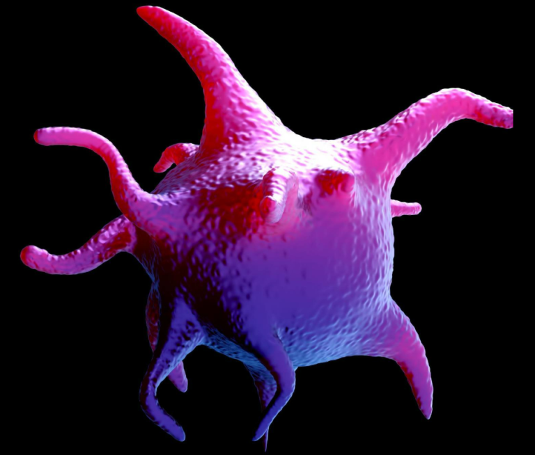 Anamosa Chamber Growing Business. Growing Community.